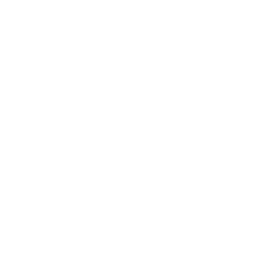 PDF Demo